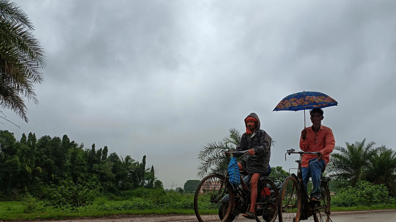 Kerala Rain alert: മാനം തെളിഞ്ഞു... മഴ കുറഞ്ഞു, നാളെ മഴ മുന്നറിയിപ്പില്ല