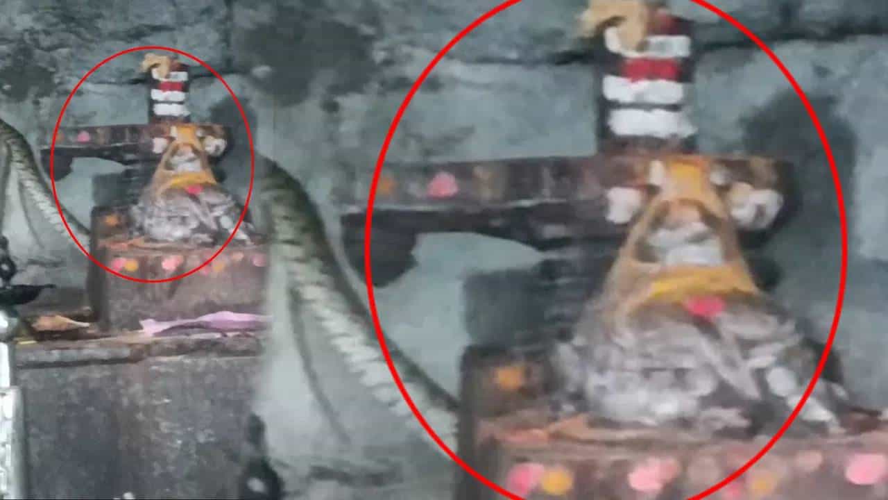 Viral Video: ക്ഷേത്രത്തിലെ ശിവലിംഗത്തിനെ ചുറ്റിപറ്റി പാമ്പ്: സർപ്പത്തെ ദർശിച്ച് ഭക്തർ