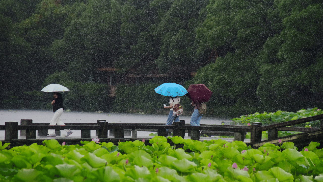 "ആകാശഗംഗയിൽ നിന്നൊരിറ്റു നീരുമായ് ആർദ്രമായ് പെയ്യുന്നൊരെന്നുമെൻ മഴ! എൻ്റെ ഭൂമിക്കെന്നും നീയാണല്ലോ ദാഹം എൻ്റെ ഹൃദയത്തിൻ ഗാനമാണെപ്പോഴും." മഴയുടെ വരവിനെയും അതിന്റെ അനുഗ്രഹത്തെയും പ്രകൃതിക്കുണ്ടാകുന്ന മാറ്റങ്ങളെയും കുറിച്ച് സുഗതകുമാരി ടീച്ചർ എഴുതിയ മനോഹരമായ കവിതയാണിത്.
