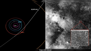 Viral video: ദുരന്തം മുന്‍കൂട്ടി കണ്ട് പൂച്ചകള്‍; സ്ത്രീ അത്ഭുതകരമായി രക്ഷപ്പെട്ടു