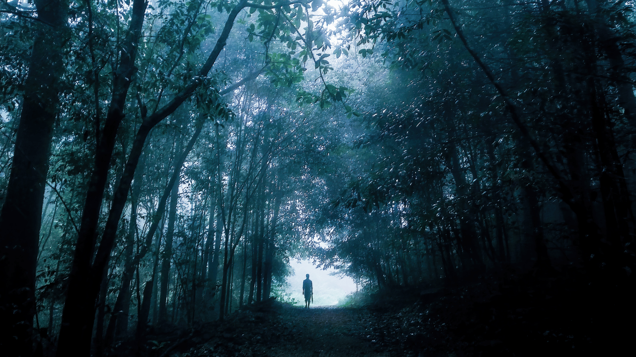 അഥർവ്വവേദത്തിൽ ആഭിചാര സ്വഭാവമുള്ള മന്ത്രങ്ങൾ ഉണ്ടെങ്കിലും, അത് ആഭിചാരം മാത്രമാണെന്ന് പറയുന്നത് തെറ്റാണ്. മനുഷ്യന്റെ ഭയങ്ങളെയും പ്രതീക്ഷകളെയും ഉൾക്കൊള്ളുന്നതും ജീവിതത്തിന്റെ വിവിധ വശങ്ങളുമായി ബന്ധപ്പെട്ടതുമായ ഒരു സങ്കീർണ്ണമായ ഗ്രന്ഥമാണിത്.