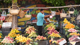 Fruits promote weight : ഈ പഴങ്ങൾ കഴിച്ചാൽ മതി, ശരീരഭാരവും കുടവയറും താനേ കുറയും Fruits promote weight : ഈ പഴങ്ങൾ കഴിച്ചാൽ മതി, ശരീരഭാരവും കുടവയറും താനേ കുറയും...