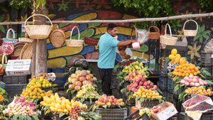 Fruits promote weight : ഈ പഴങ്ങൾ കഴിച്ചാൽ മതി, ശരീരഭാരവും കുടവയറും താനേ കുറയും Fruits promote weight : ഈ പഴങ്ങൾ കഴിച്ചാൽ മതി, ശരീരഭാരവും കുടവയറും താനേ കുറയും