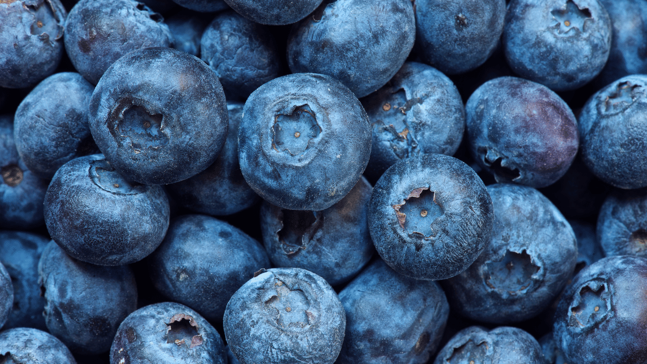 തലച്ചോറിന്റെ ആരോഗ്യത്തിനും ബുദ്ധിയുടെ പ്രവർത്തനങ്ങൾക്കും സഹായിക്കുന്ന ബ്ലൂബെറീസിനെ ഡാൻ ഗോ "ബ്രെയിൻ ഫ്യുവൽ" എന്ന് വിശേഷിപ്പിക്കുന്നു. ഫ്ലേവനോയിഡുകളും ആന്തോസയാനിനുകളും ധാരാളമായി അടങ്ങിയ ഈ കുഞ്ഞൻ ബെറികൾ തലച്ചോറിനെ സംരക്ഷിക്കാനും ഓർമ്മശക്തി വർദ്ധിപ്പിക്കാനും സഹായിക്കുന്നുവെന്നും അദ്ദേഹം കൂട്ടിച്ചേർത്തു.