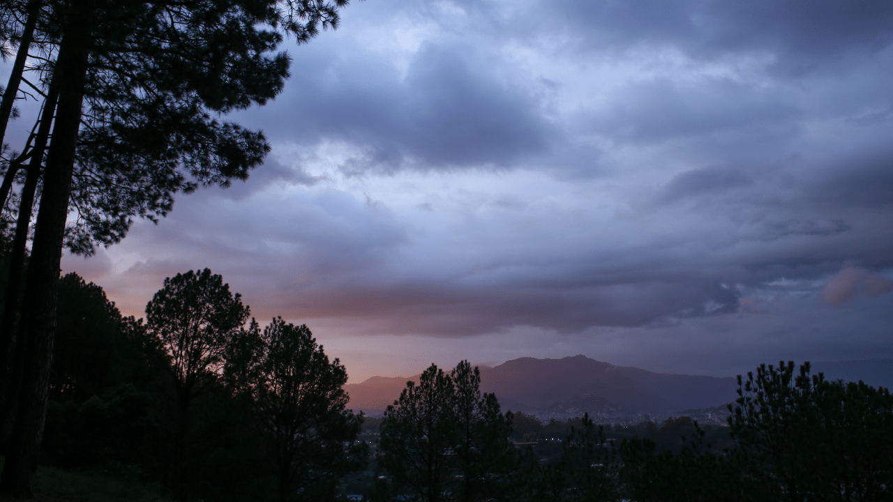 മാധവിക്കുട്ടിയുടെ 'മഴപ്പാട്ട്' മഴയുടെ കാൽപനികതയും, ഒരുപക്ഷേ നഷ്ടബോധവും, ഒരു ഗ്രാമീണ പശ്ചാത്തലത്തിൽ വിവരിക്കുന്നു. മഴയുടെ ശബ്ദങ്ങളെയും ഗന്ധങ്ങളെയും കാഴ്ചകളെയും തന്റെ ഓർമ്മകളുമായി ബന്ധപ്പെടുത്തി എഴുതിയ ഈ കവിത മഴയെ ഒരു വ്യക്തിഗത അനുഭവമായി അവതരിപ്പിക്കുന്നു.