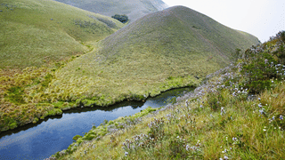 BTS: ബിടിഎസ് ജിന്നും ബ്ലാക്ക്പിങ്ക് ജിസൂവും ഡേറ്റിം​ഗിലോ?