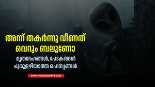 Israel Ministers: ഇസ്രായേല്‍ മന്ത്രിമാര്‍ക്ക് വിലക്കേര്‍പ്പെടുത്തി നെതര്‍ലന്‍ഡ്‌സ്