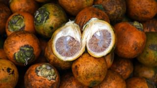 Kerala Gold Rate: ഇങ്ങനെയൊക്കെ പോകാമോ? സ്വര്‍ണത്തിനുമില്ലേ മോഹം, വില പിന്നെയും ഉയര്‍ന്നു