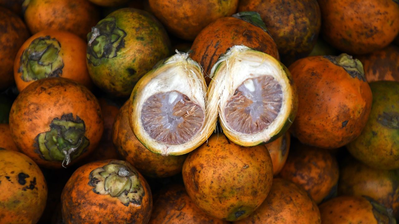 Arecanut Price Hike: പഴുത്ത അടയ്ക്കയുണ്ടോ കയ്യില്‍? എങ്കില്‍ നിങ്ങള്‍ റിച്ചാണ്, ഒന്നിന് 13 രൂപ