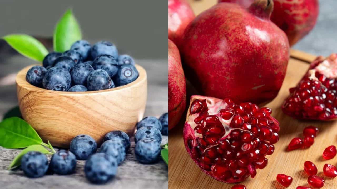 Pomegranate VS Blueberry: മാതളനാരങ്ങയാണോ ബ്ലൂബെറിയാണോ ആരോഗ്യത്തിന് നല്ലത്? മികച്ചതേതെന്ന് നോക്കാം Pomegranate VS Blueberry: മാതളനാരങ്ങയാണോ ബ്ലൂബെറിയാണോ ആരോഗ്യത്തിന് നല്ലത്? മികച്ചതേതെന്ന് നോക്കാം