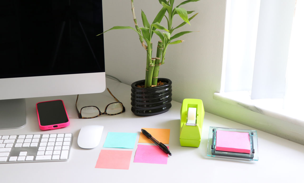 വീടിൻ്റെയോ ഓഫീസിൻ്റെയോ തെക്കുകിഴക്കേ മൂലയിൽ മുള സ്ഥാപിക്കുന്നതാണ് ഉചിതം,  ഫെങ് ഷൂയിയിൽ ഈ ദിശ സമ്പത്തുമായും സമൃദ്ധിയുമായും ബന്ധപ്പെട്ടിരിക്കുന്നു.