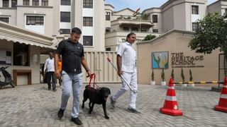 Viral News: അനുഗ്രഹം ചൊരിയുന്ന മരം! താങ്ങും തണലുമാകുന്ന കര്‍ണാടകയിലെ പുളിമരത്തിന്റെ കഥ