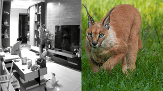 Man Death After Divorce: വിവാഹമോചനം! ഒരു മാസം ബിയർ മാത്രം കുടിച്ചു; 44കാരൻ കിടപ്പുമുറിയിൽ മരിച്ച നിലയിൽ