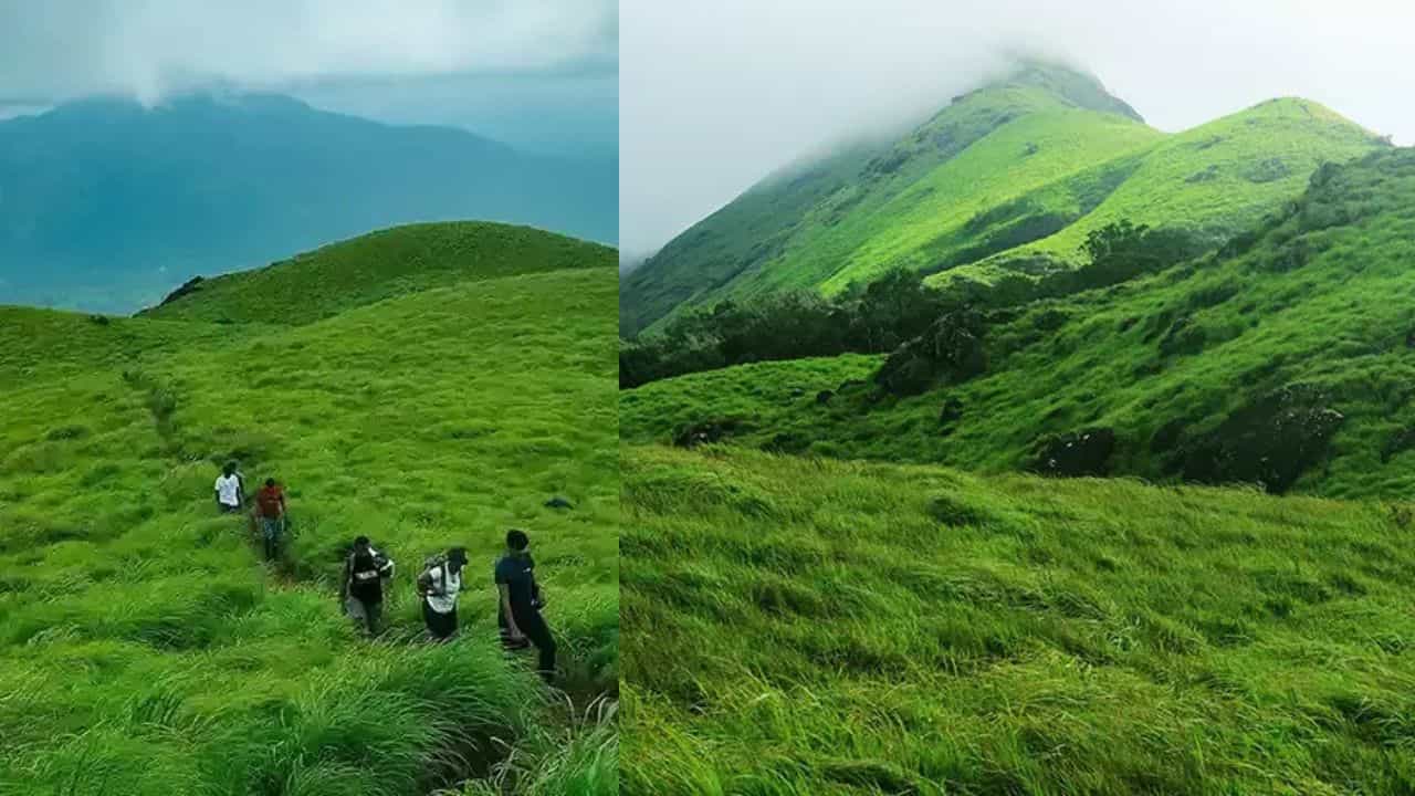 Chembra Peak: പോവാണേൽ ചെമ്പ്രയിലേക്ക് വിട്ടോളൂ; കാണാനുണ്ട് കാഴ്ച്ചകളേറെ
