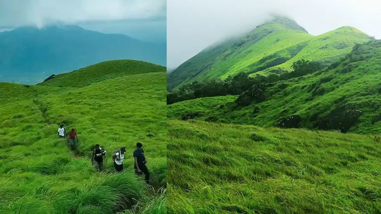 Chembra Peak: പോവാണേൽ ചെമ്പ്രയിലേക്ക് വിട്ടോളൂ; കാണാനുണ്ട് കാഴ്ച്ചകളേറെ