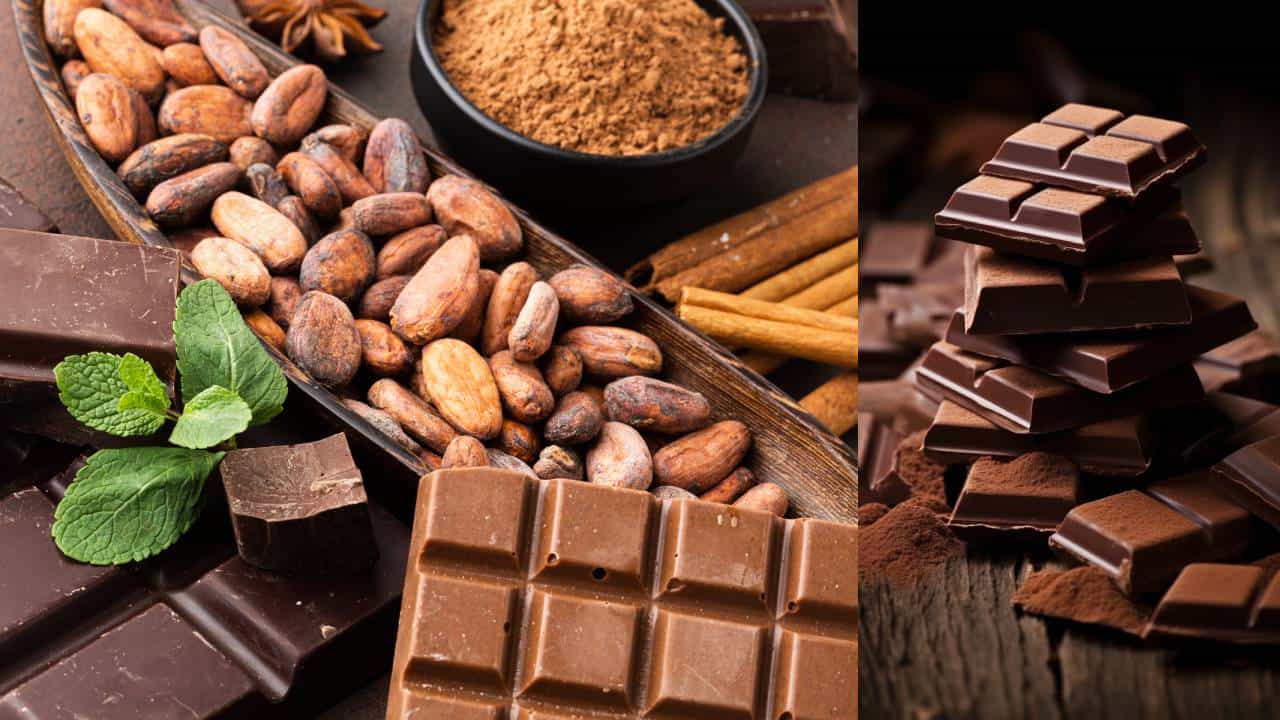 World Chocolate Day 2025: ഇന്ന് ലോക ചോക്ലേറ്റ് ദിനം; മധുരമൂറുന്ന ചോക്ലേറ്റിനും പറയാനുണ്ട് ഒരു കഥ; അറിയാം മധുരിക്കുന്ന ചരിത്രം! World Chocolate Day 2025: ഇന്ന് ലോക ചോക്ലേറ്റ് ദിനം; മധുരമൂറുന്ന ചോക്ലേറ്റിനും പറയാനുണ്ട് ഒരു കഥ; അറിയാം മധുരിക്കുന്ന ചരിത്രം!