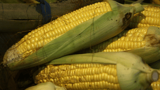 Rice Water Recipe: കഞ്ഞി വെള്ളം കളയാറാണോ പതിവ് , ഇനി വേണ്ട! കറിയായും സൂപ്പായും വിളമ്പാം; ഈസി റെസിപ്പി ഇതാ..