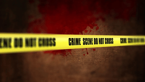 Delhi Double Murder: നടവഴിയിലും വാതിലിന് മുന്നിലും ചോര, ഉള്ളിൽ രക്തത്തിൽ കുളച്ച് അമ്മയും മകനും; ഡൽഹിയിൽ ഇരട്ട കൊലപാതകം