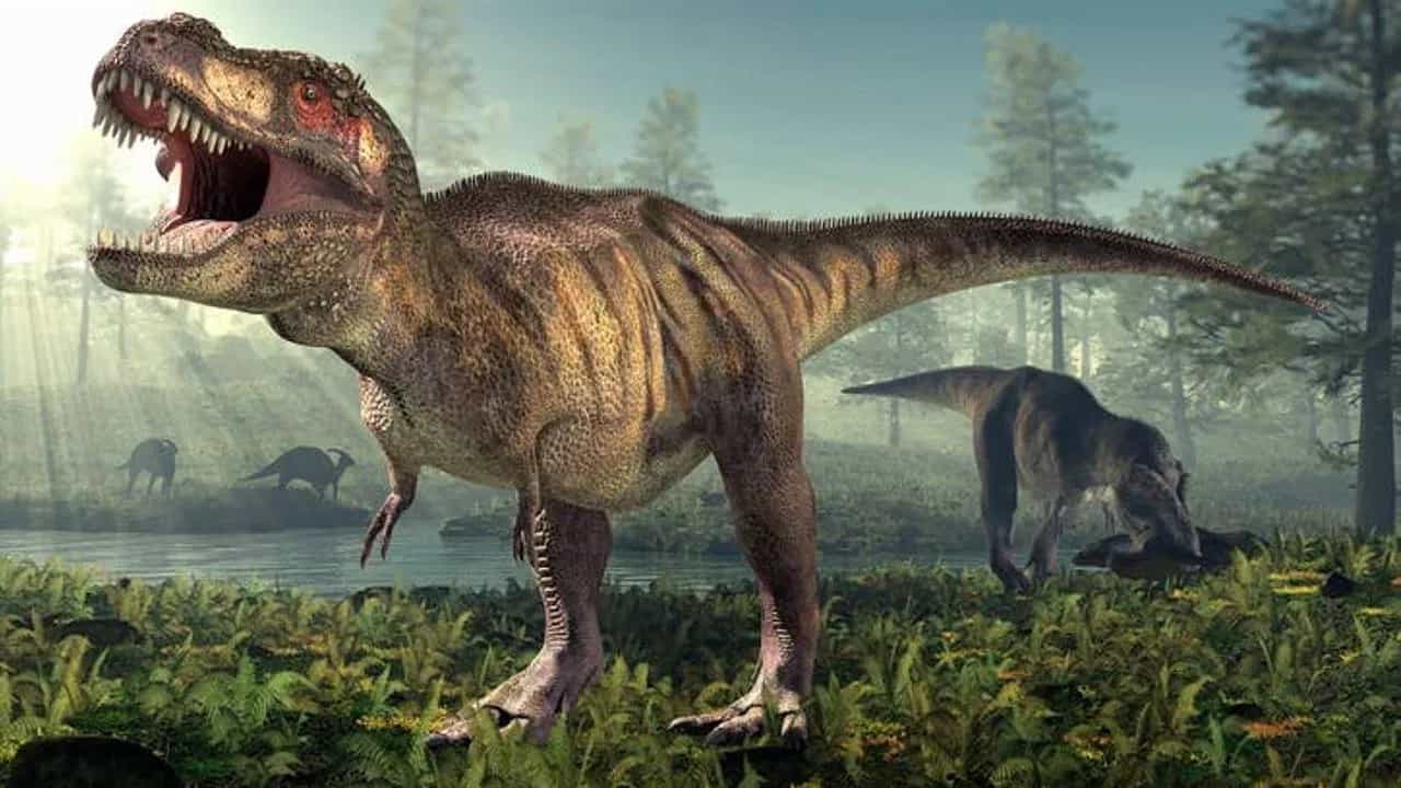 Dinosaur Fossil: ലോകം ഞെട്ടി, ദിനോസർ ഫോസിൽ വിറ്റത് 262 കോടിക്ക്