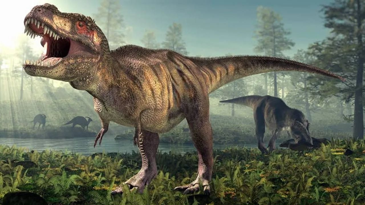 Dinosaur Fossil: ലോകം ഞെട്ടി, ദിനോസർ ഫോസിൽ വിറ്റത് 262 കോടിക്ക്