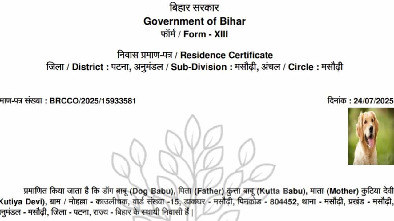 Viral News: പേര് ഡോഗ് ബാബു, അച്ഛന്‍ കുത്ത ബാബു  ! ആ വൈറല്‍ സര്‍ട്ടിഫിക്കറ്റിന് പിന്നില്‍ പ്രവര്‍ത്തിച്ചവര്‍ക്ക് പണി വരുന്നു