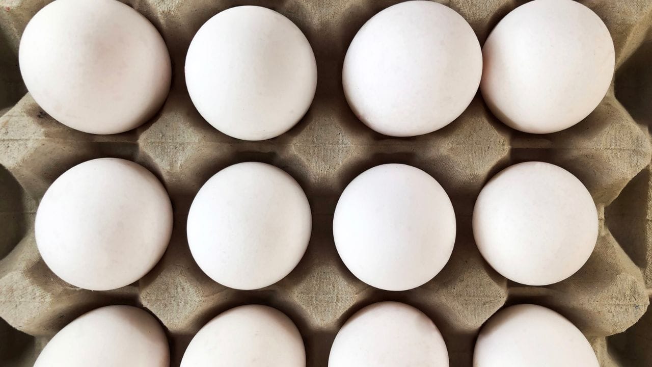 മികച്ച പ്രോട്ടീന്റെ ഉറവിടമാണ് മുട്ട. മുടി വളര്‍ച്ചയ്ക്ക് സഹായിക്കുന്ന ബയോട്ടിനും മുട്ടയില്‍ നിന്നും ലഭിക്കും. കൊളാജന്‍ ഉത്പാദനം വര്‍ധിപ്പിക്കാനും മുട്ട സഹായിക്കുന്നു. മുടിയിഴകള്‍ക്ക് ബലം നല്‍കുന്ന അയണ്‍ മുട്ടയിലുണ്ട്. കൂടാതെ വൈറ്റമിന്‍ എ,ഡി, സിങ്ക് സിങ്ക് എന്നിവയും അടങ്ങിയിരിക്കുന്നു.

