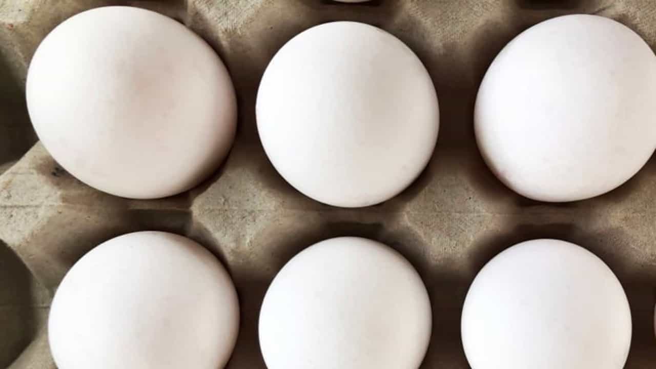 Viral News: കുട്ടികളുടെ രോഗം മാറ്റാന്‍ മുട്ടപ്രയോഗം, തട്ടിപ്പിനിരയായത് നിരവധി പേര്‍