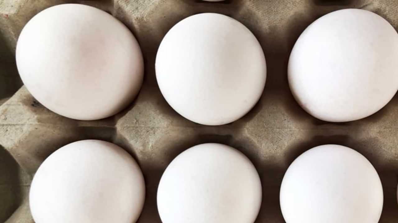 Viral News: കുട്ടികളുടെ രോഗം മാറ്റാന്‍ മുട്ടപ്രയോഗം, തട്ടിപ്പിനിരയായത് നിരവധി പേര്‍