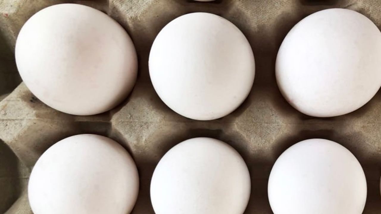 Viral News: കുട്ടികളുടെ രോഗം മാറ്റാന്‍ മുട്ടപ്രയോഗം, തട്ടിപ്പിനിരയായത് നിരവധി പേര്‍