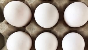 Viral News: കുട്ടികളുടെ രോഗം മാറ്റാന്‍ മുട്ടപ്രയോഗം, തട്ടിപ്പിനിരയായത് നിരവധി പേര്‍