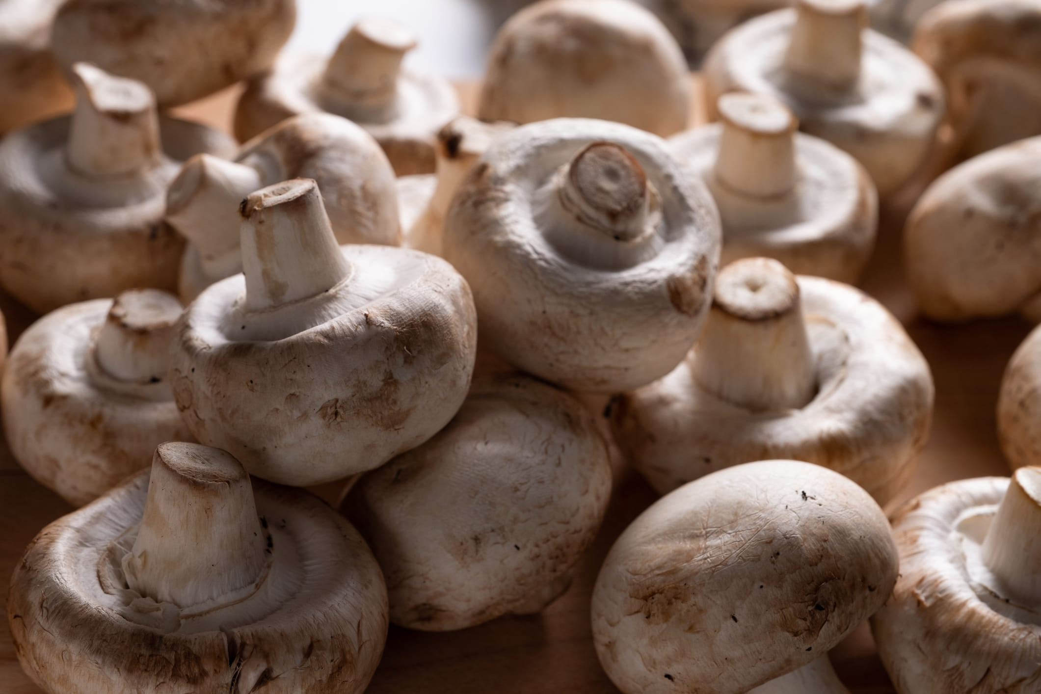 കൂണിൽ സെലിനിയം അടങ്ങിയിള്ളതിനാൽ, ഇത് നിങ്ങളുടെ ശരീരത്തെ ആന്റിഓക്‌സിഡന്റുകൾ ഉത്പാദിപ്പിക്കാൻ സഹായിക്കുന്നു. ഈ ആന്റിഓക്‌സിഡന്റുകൾ നിങ്ങളുടെ കുടലിനെയും രോഗപ്രതിരോധ സംവിധാനത്തെയും പിന്തുണയ്ക്കും. കൂടാതെ, കൂൺ ഒരു പ്രീബയോട്ടിക് ആയി പ്രവർത്തിക്കുന്നു, അതായത് അവ നിങ്ങളുടെ ദഹനനാളത്തിലെ നല്ല ബാക്ടീരിയകളെ പോഷിപ്പിക്കാൻ സഹായിക്കുന്നു.
