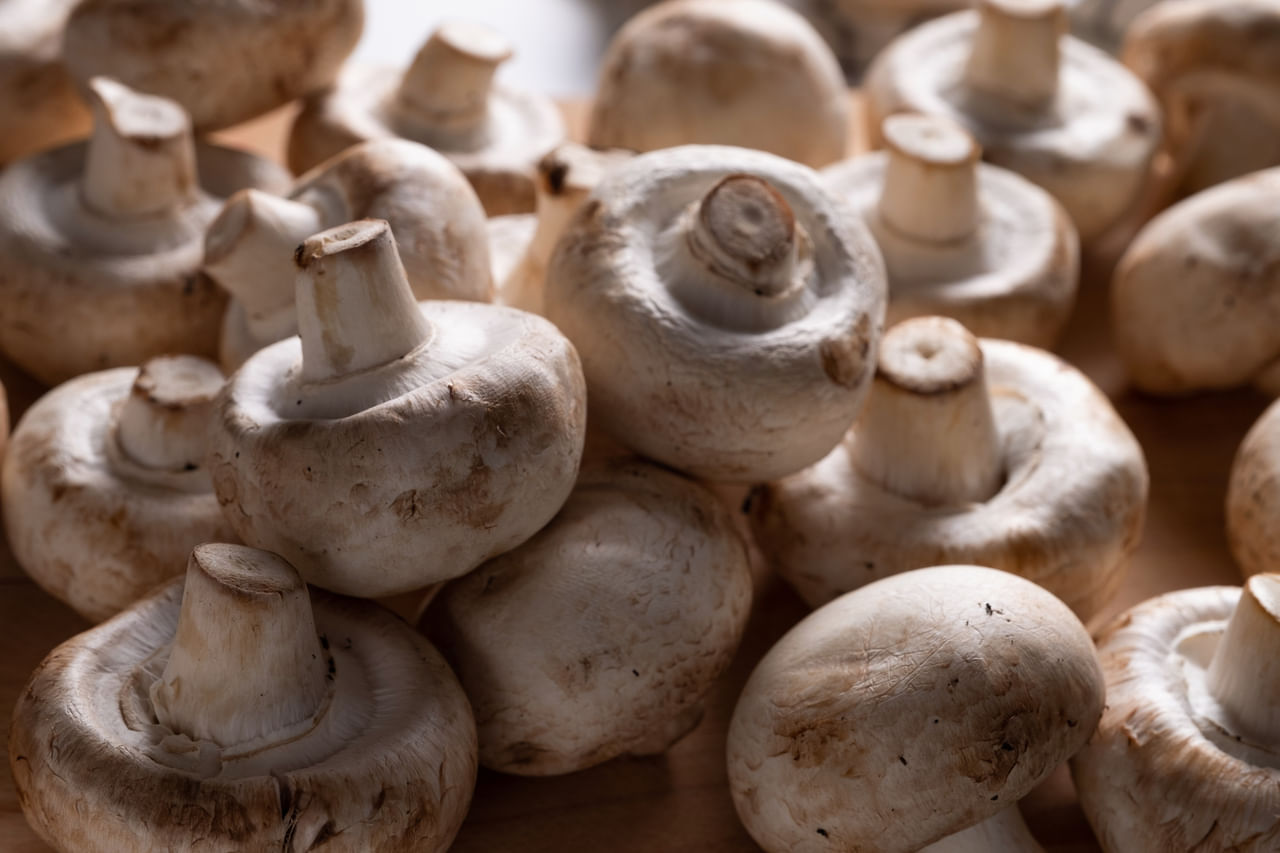 കൂണിൽ സെലിനിയം അടങ്ങിയിള്ളതിനാൽ, ഇത് നിങ്ങളുടെ ശരീരത്തെ ആന്റിഓക്സിഡന്റുകൾ ഉത്പാദിപ്പിക്കാൻ സഹായിക്കുന്നു. ഈ ആന്റിഓക്സിഡന്റുകൾ നിങ്ങളുടെ കുടലിനെയും രോഗപ്രതിരോധ സംവിധാനത്തെയും പിന്തുണയ്ക്കും. കൂടാതെ, കൂൺ ഒരു പ്രീബയോട്ടിക് ആയി പ്രവർത്തിക്കുന്നു, അതായത് അവ നിങ്ങളുടെ ദഹനനാളത്തിലെ നല്ല ബാക്ടീരിയകളെ പോഷിപ്പിക്കാൻ സഹായിക്കുന്നു.