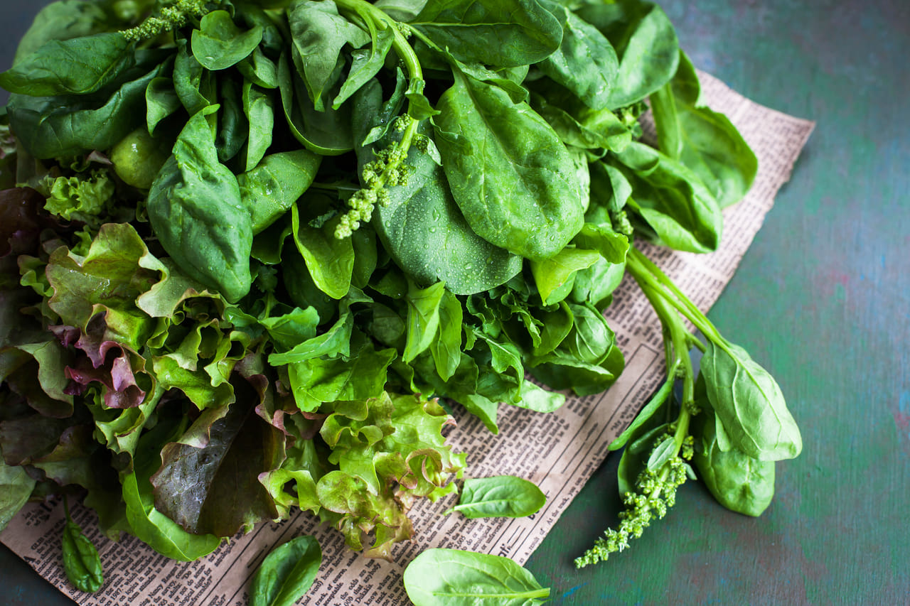 ഇലക്കറികൾ: ചീര പോലുള്ള ഇലകൾ കാൽസ്യം, ഫോളിക് ആസിഡ്, തുടങ്ങിയ പല്ലുകളെയും മോണകളെയും ശക്തിപ്പെടുത്തുന്ന പ്രധാന വിറ്റാമിനുകൾ അടങ്ങിയവയാണ്. ഇത്തരം ഇലകൾ ഉപയോഗിച്ച് സ്മൂത്തികളോ മറ്റ് വിഭവങ്ങളോ തയ്യാറാക്കി കഴിക്കാവുന്നതാണ്. (Image Credits: Gettyimages)
