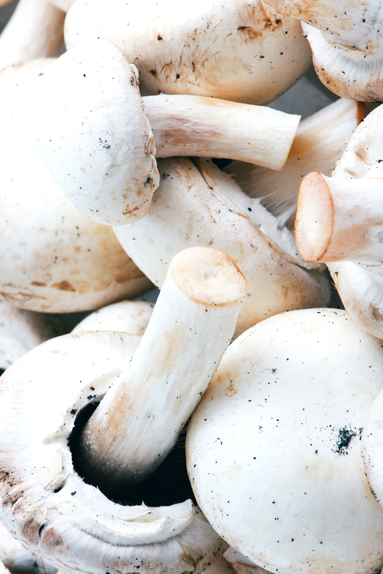 ദഹനം മെച്ചപ്പെടുത്തുന്നതിനും, ശരീരഭാരം നിയന്ത്രിക്കുന്നതിനും തുടങ്ങി പലവിധ ഗുണങ്ങളുള്ള ഒന്നാണ് കൂൺ. കൂണിൽ കലോറി കുറവാണ്, ഏകദേശം 90 ശതമാനം വെള്ളവും അടങ്ങിയിരിക്കുന്നു. ഇത് നിങ്ങളുടെ ഭക്ഷണത്തിൽ കലോറി ഉപഭോഗം ഗണ്യമായി വർദ്ധിപ്പിക്കാതെ തന്നെ വയറു നിറയ്ക്കാൻ സഹായിക്കുന്നു.