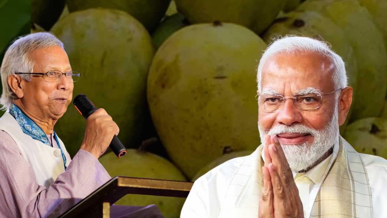 Hari Bhanga Mango: പ്രധാനമന്ത്രിക്ക് 1,000 കിലോ ഹരിഭംഗ മാമ്പഴം അയച്ച് ബംഗ്ലാദേശ് ഭരണാധികാരി