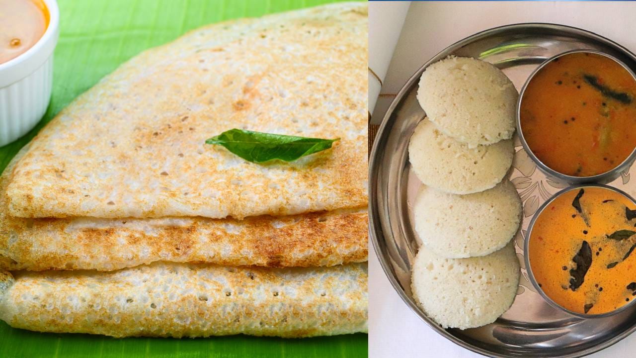 Idli vs Dosa: നിങ്ങൾക്ക് ഇഷ്ടം ഇഡ്ഡലിയോ ദോശയോ? പ്രഭാതഭക്ഷണത്തിന് ഏറ്റവും ആരോഗ്യകരം ഇതാണ്?
