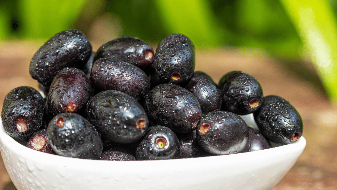 Jamun Juice: ഇത്തവണ ഞാവൽ പഴത്തിൻ്റെ ജ്യൂസ് തൂക്കി…; തിളക്കമുള്ള ചർമ്മത്തിനായി കഴിക്കാം ഇങ്ങനെ