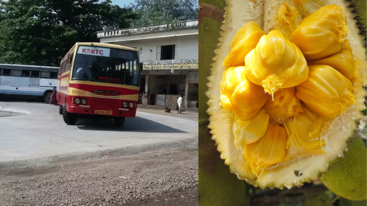 KSRTC Breath Analyser: ചക്കപ്പഴം കഴിച്ചവരും കുടുങ്ങി, ബ്രത്ത് അനലൈസറിന് നിലവാരമില്ല; കെഎസ്ആർടിസി ജീവനക്കാർ KSRTC Breath Analyser: ചക്കപ്പഴം കഴിച്ചവരും കുടുങ്ങി, ബ്രത്ത് അനലൈസറിന് നിലവാരമില്ല; കെഎസ്ആർടിസി ജീവനക്കാർ