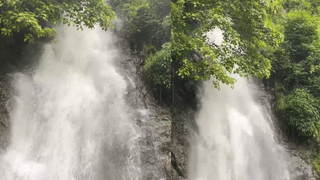 Western Ghat Vibes: ഇത് നിങ്ങളുടെ കണ്ണിൽപ്പെടാത്ത പശ്ചിമഘട്ടം; കണ്ടറിയാം പ്രകൃതിയുടെ സമ്പത്തിനെ