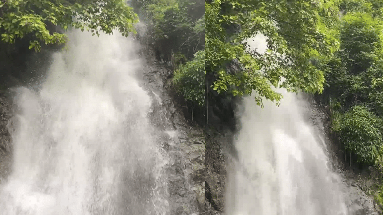 Karakkundu WaterFalls: മഴക്കാലത്ത് പതഞ്ഞൊഴുകി കാരക്കുണ്ട്; വെള്ളച്ചാട്ടം ആസ്വദിക്കാൻ വിട്ടോളൂ കണ്ണൂരിലേക്ക്