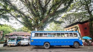 Niraputhari : നിറ നിറ പൊലി പൊലി… കാർഷിക സമൃദ്ധി വിളിച്ചോതി നിറപുത്തിരി എത്തി, ശബരിമലയിലുൾപ്പെടെ നാളെ ചടങ്ങുകൾ നടത്തും