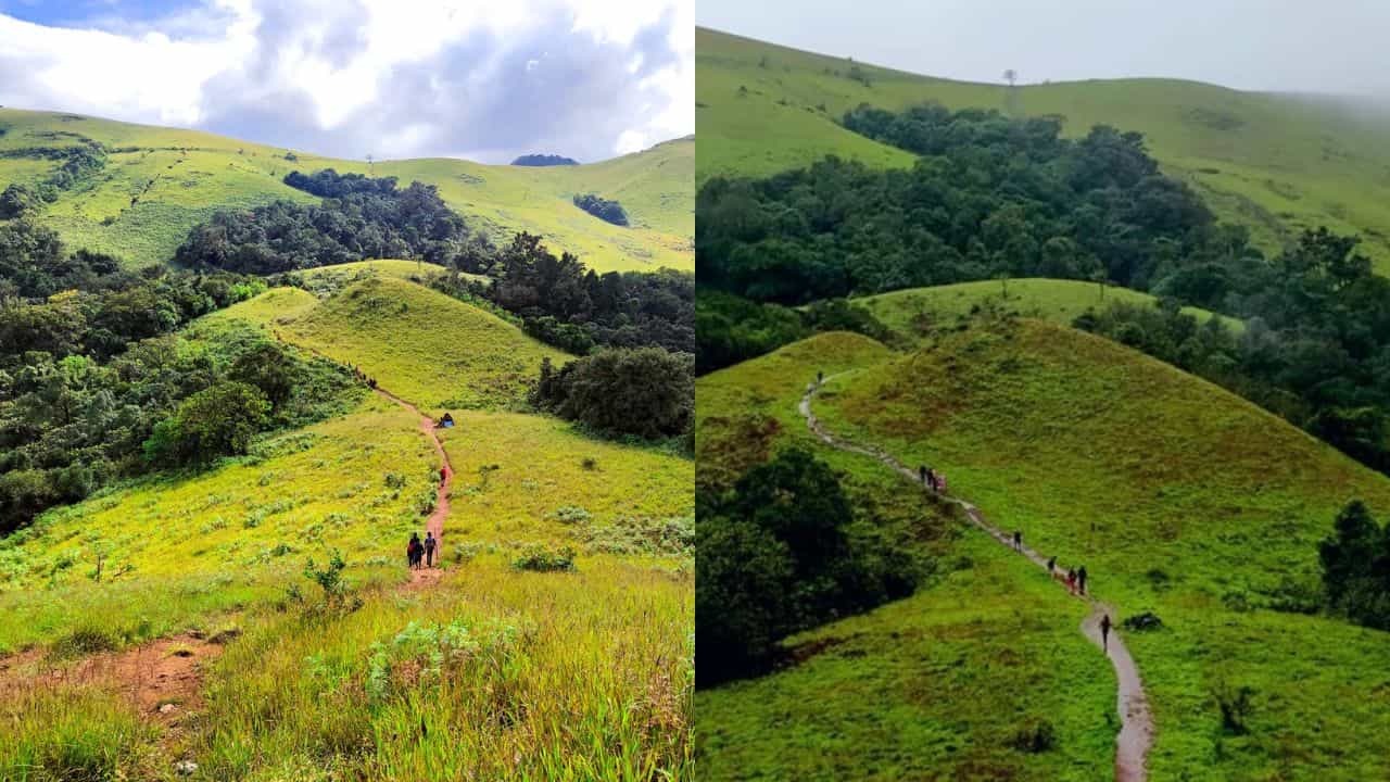 Kodachadri: അറിവിൻ്റെ തമ്പുരാൻ തപസിരുന്ന പീഠം... ട്രെക്കിങ്ങിനായൊരു യാത്ര; കുടജാദ്രിയെ കുറിച്ചറിയാം