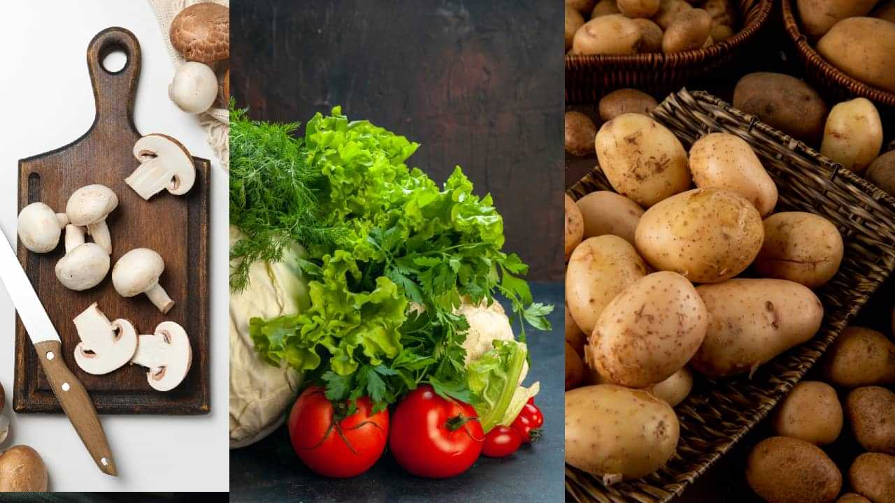 Monsoon Eating Guide: മഴക്കാലമാണ്? ഈ പച്ചക്കറികൾ ഒഴിവാക്കാം.. പകരം ഉൾപ്പെടുത്താം ഹെൽത്തി ഫുഡ്!