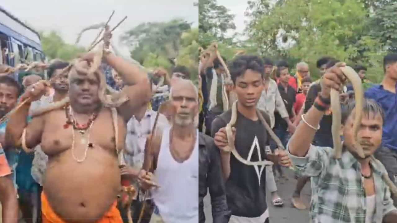 Viral Video: മൂര്‍ഖന്മാരുമായി നൃത്തം ചെയ്യുന്ന ഭക്തര്‍; വൈറലായി നാഗപഞ്ചമി മേള ദൃശ്യങ്ങള്‍
