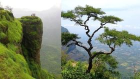 നെല്ലിയാമ്പതിയിലെ നല്ല കാഴ്ച്ചകൾ; ഓറഞ്ച് വിളയുന്നത് എപ്പോൾ?