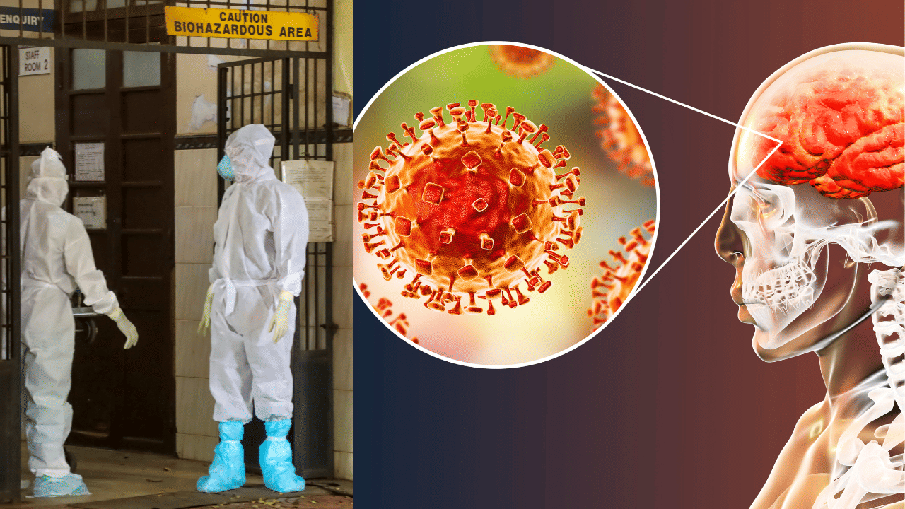 Nipah Outbreak Kerala: പാലക്കാടിന് പിന്നാലെ കോഴിക്കോട് മരിച്ച പതിനെട്ടുകാരിയുടെ സാമ്പിളും പോസിറ്റീവ്