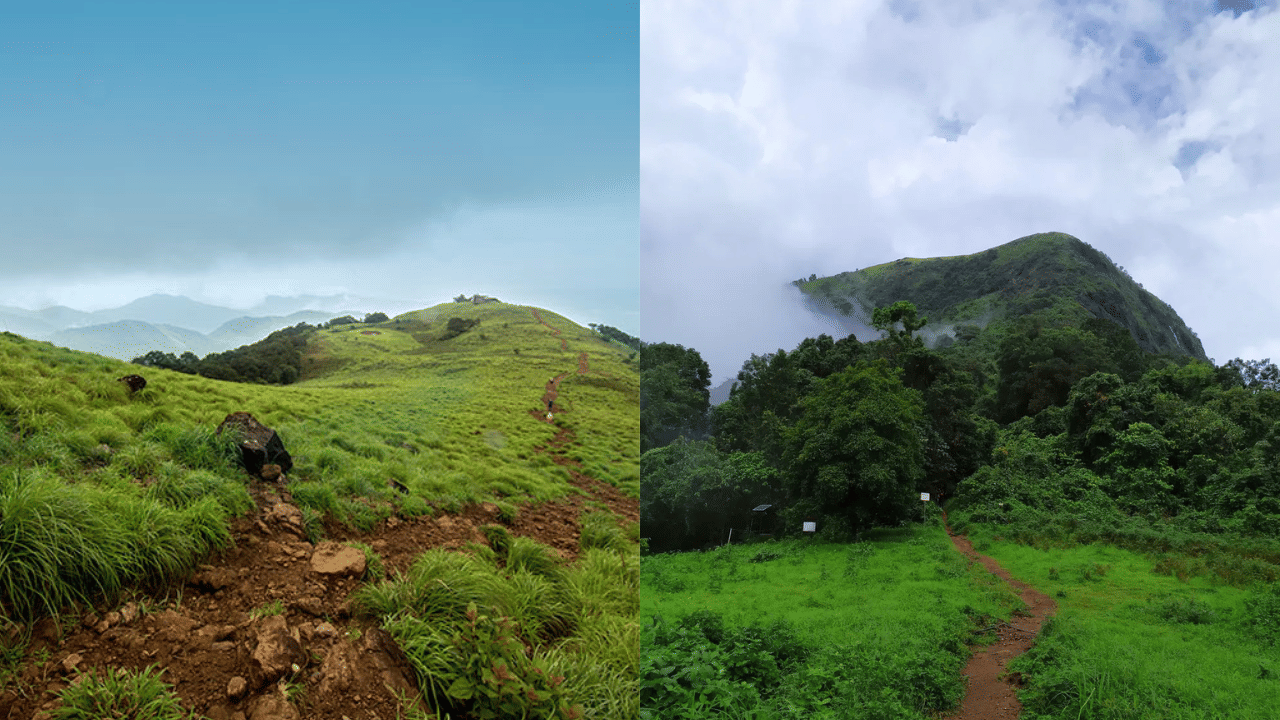 Kannur Paithalmala: ട്രക്കിങ്ങാണോ ലക്ഷ്യം! വണ്ടിയെടുത്തോ പൈതൽമലയിലേക്ക്; നട്ടുച്ചയ്ക്കും തണുപ്പാണിവിടെ...