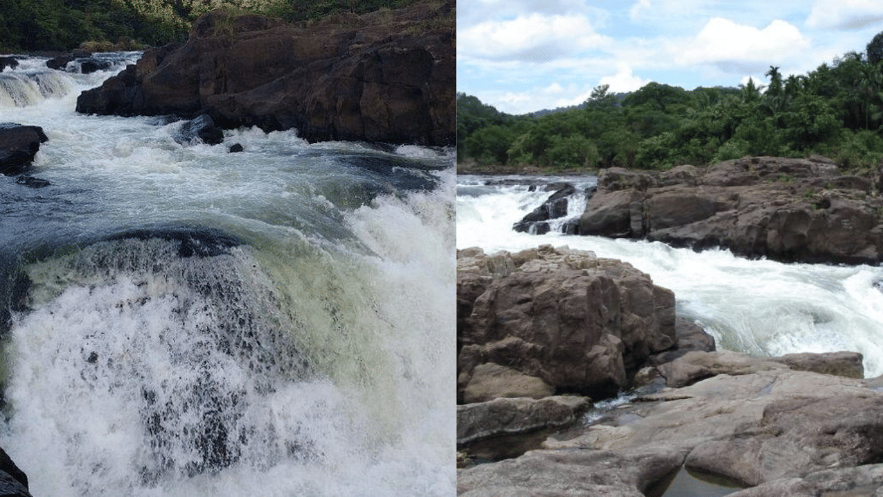 Perunthenaruvi Waterfalls: ഈ വീക്കെൻഡിൽ പോകാം ഒരു കിടിലം സ്പോട്ടിലേക്ക്; കാണാം പെരുന്തേനരുവി വെള്ളച്ചാട്ടം
