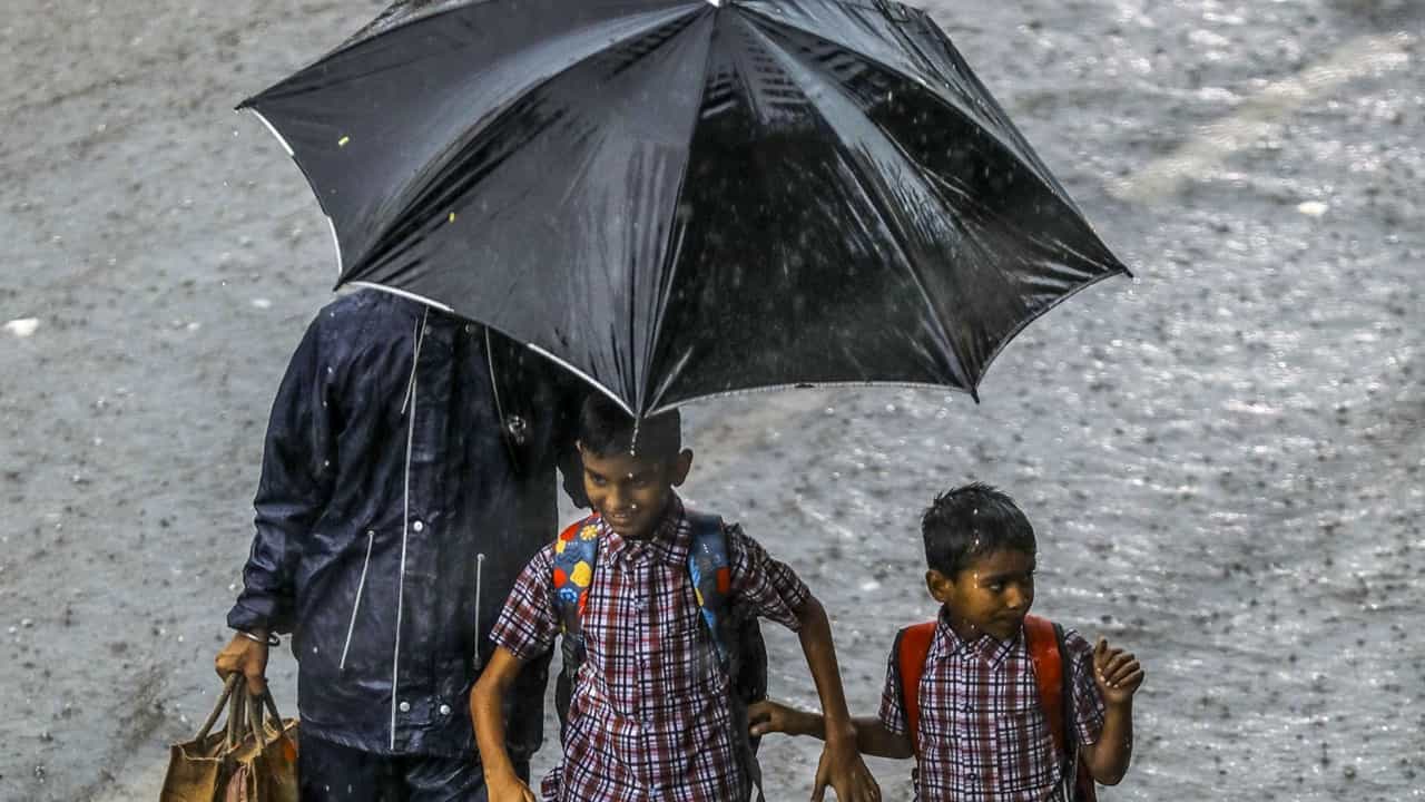 Kerala Rain Alert Today: സംസ്ഥാനത്ത് ഞായറാഴ്ച വരെ ശക്തമായ മഴ; ഇന്ന് എട്ട് ജില്ലകളിൽ യെല്ലോ അലർട്ട്