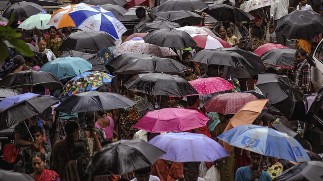 Kerala Rain Holiday: ഈ പ്രദേശത്ത് നാളെ പ്രൊഫഷണല്‍ കോളേജുകള്‍ക്കടക്കം അവധി, കളക്ടറുടെ പ്രഖ്യാപനം